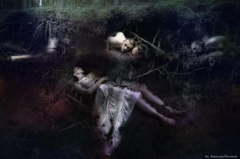 381785_427369363994342_2072785609_n