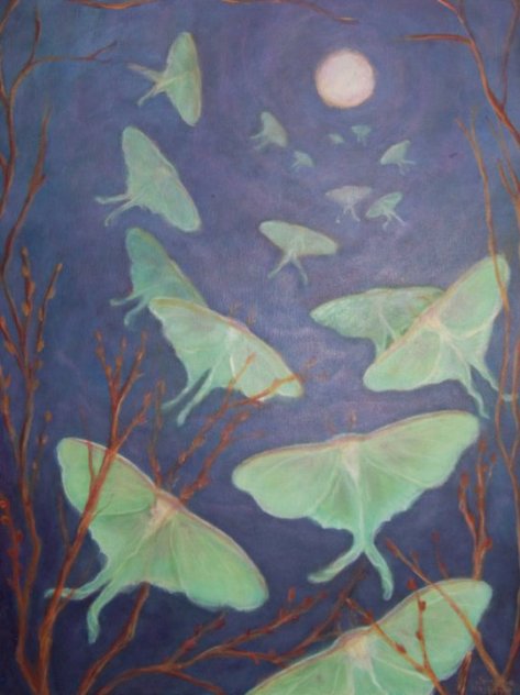 205144_10150166150834800_2012429_n