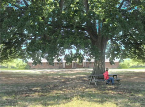 Cover for Elizabeth Massie's "Homegrown"