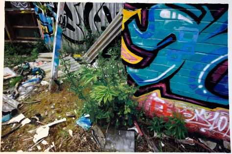 Scottish Landscapes No. 4