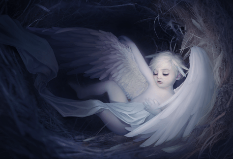 Precious Realm: Home