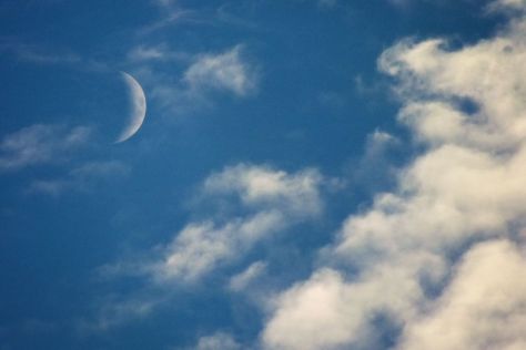 gallery_124634_11_293292