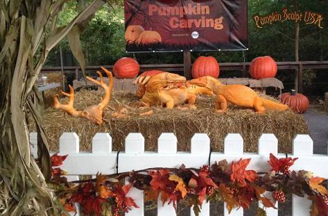 10703614_820826494633990_1861083554729202163_n