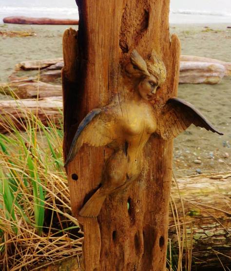 1524747_634080983300584_819145867_n