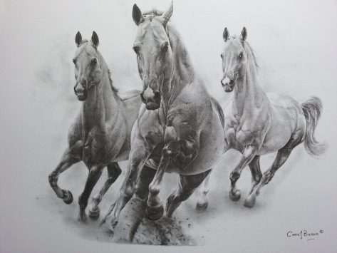 10606370_746520942078296_596177600072903010_n