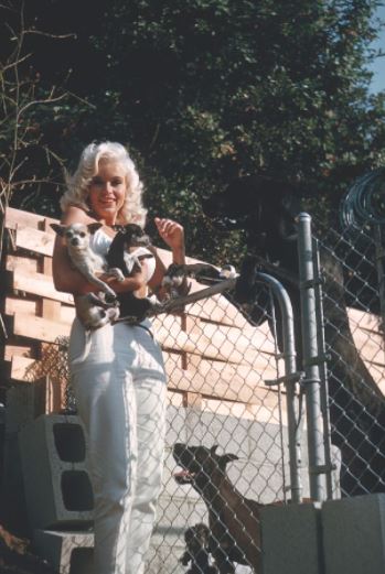 MillerJayneMansfield