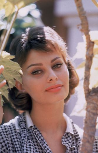 MillerSophiaLoren